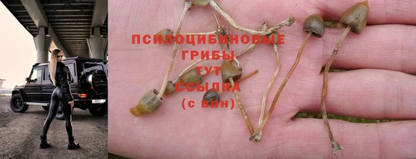 скорость Медвежьегорск