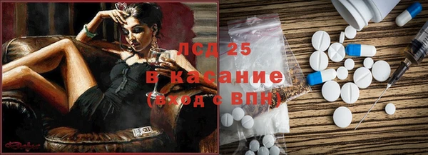 шишки Майский