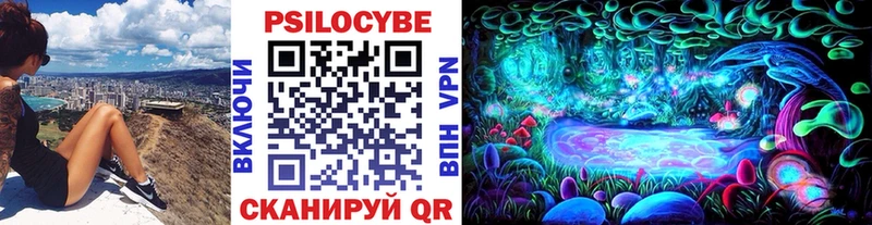 Псилоцибиновые грибы Magic Shrooms  Купить  Павлово 